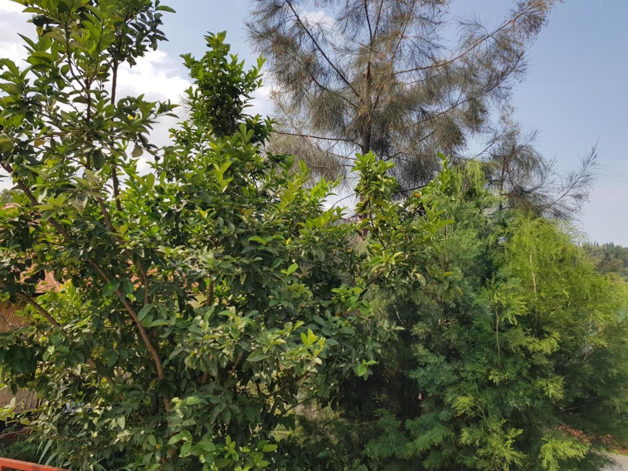 Rebero Kivu Resort Kibuye Екстериор снимка